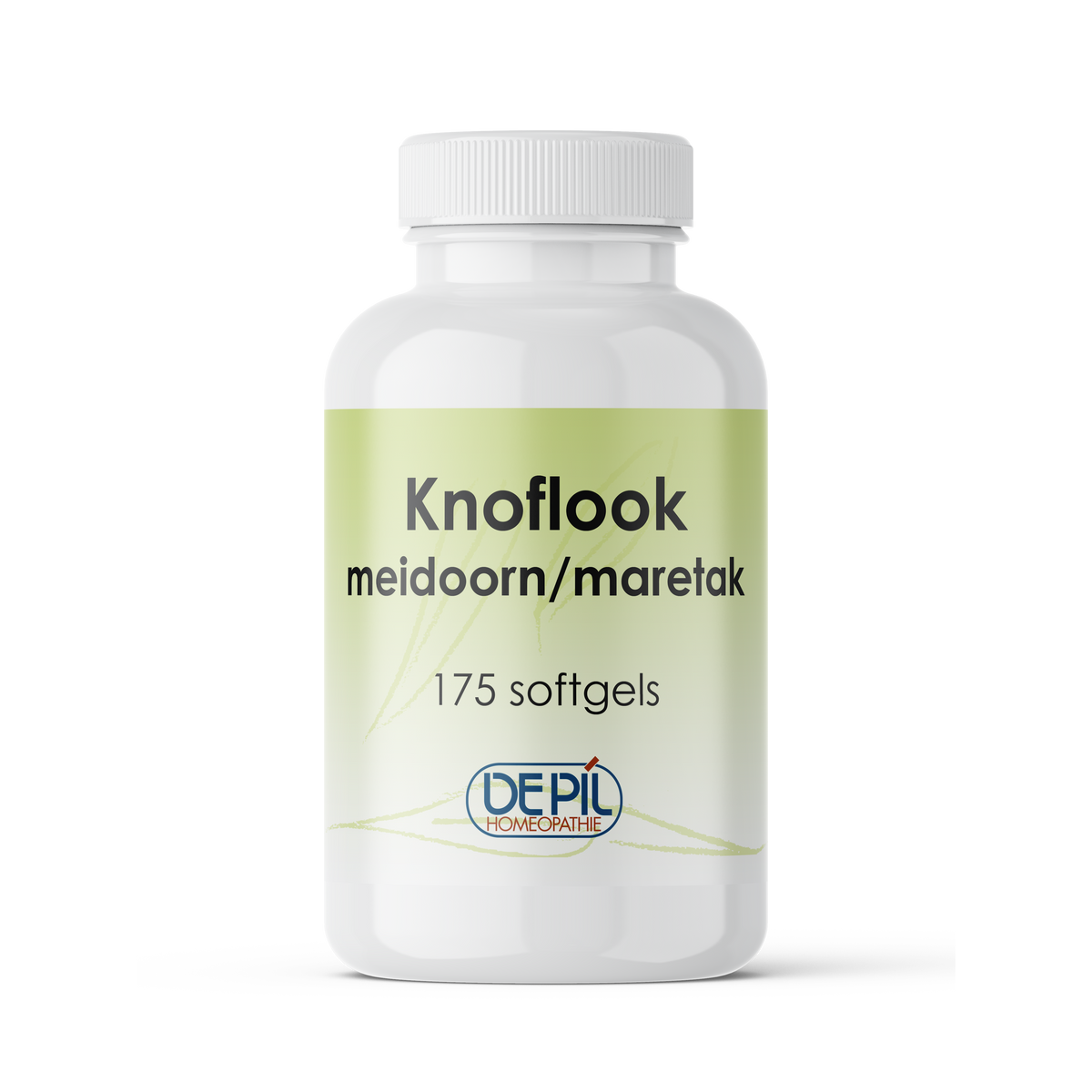 Knoflook