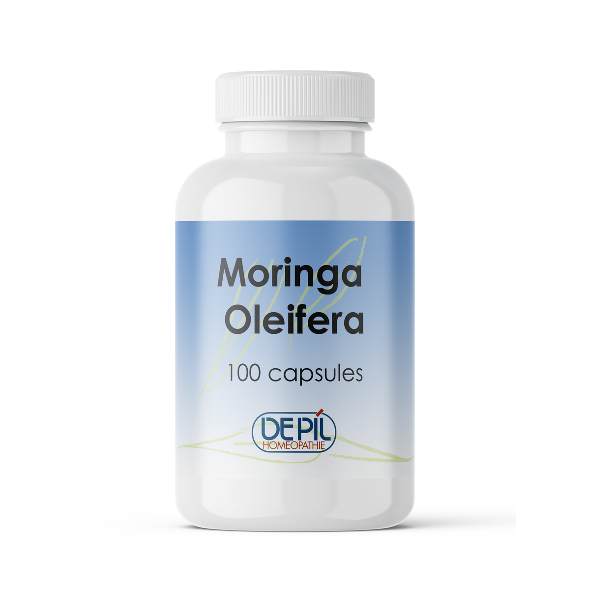 Moringa Oleifera