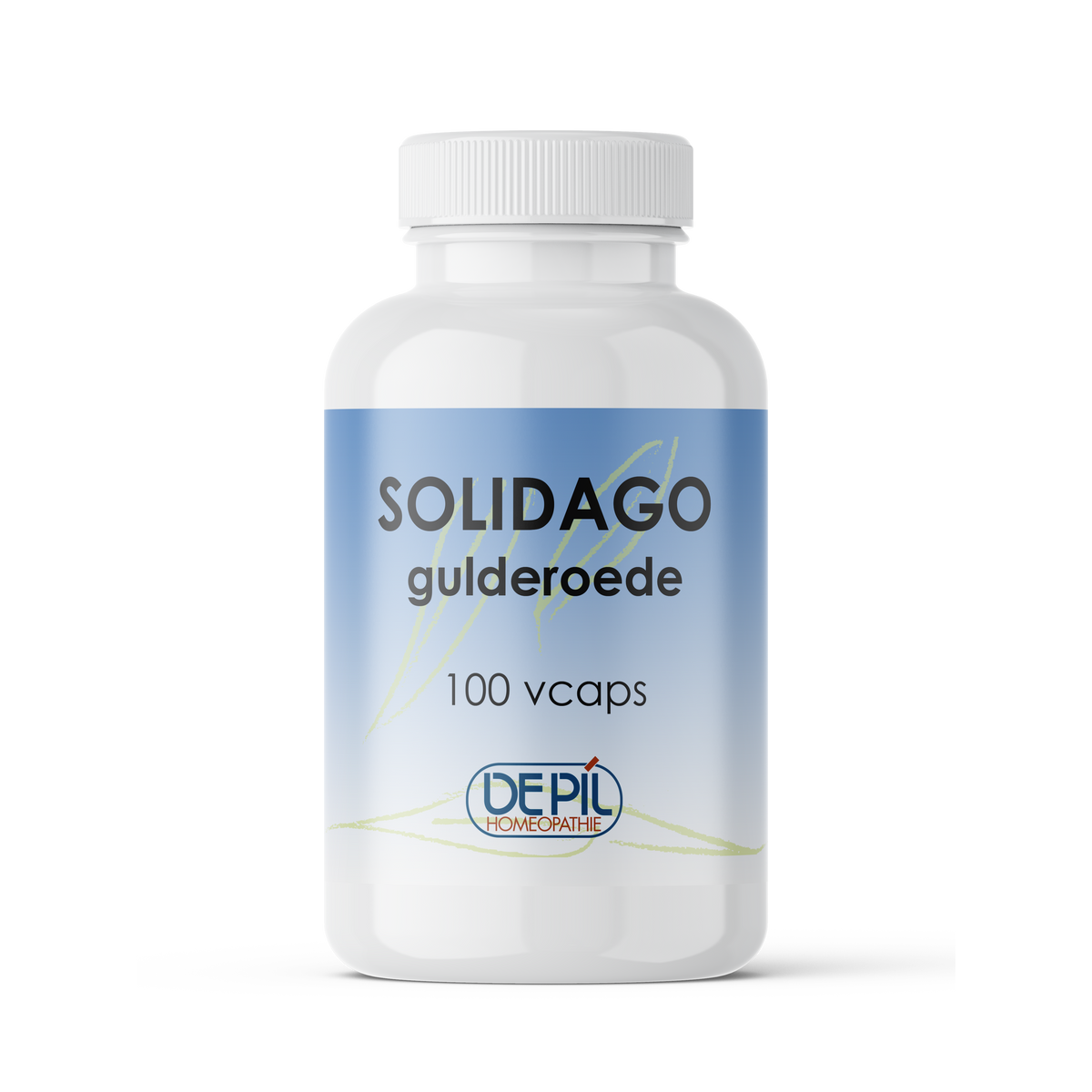 Solidago capsules